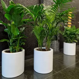 okrągłe białe matowe donice do biurowca